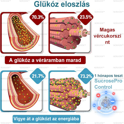 Csak 5 darab maradt! Azonnal élvezze az exkluzív 50%-os kedvezményt! Csak 1-4 hét alatt megőrizheti egészséges, tökéletes alakját. Ez az ajánlat jövőre ismét elérhető lesz. Ne hagyja ki a lehetőséget, 180 napos pénzvisszafizetési garanciát kínálunk!
